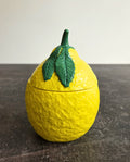 Ispettore Limonetto 🍋
