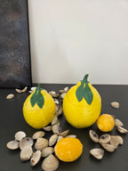 Ispettore Limonetto 🍋
